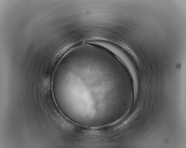 X0000090630785200707241151