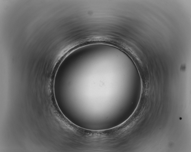 X0000090630786200707241151
