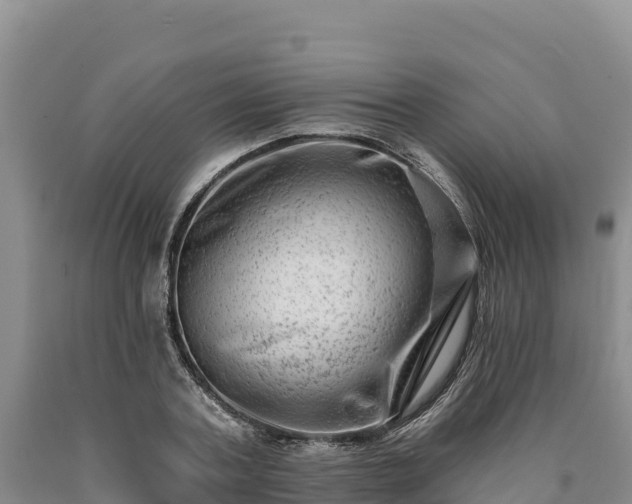 X0000090630787200707241151