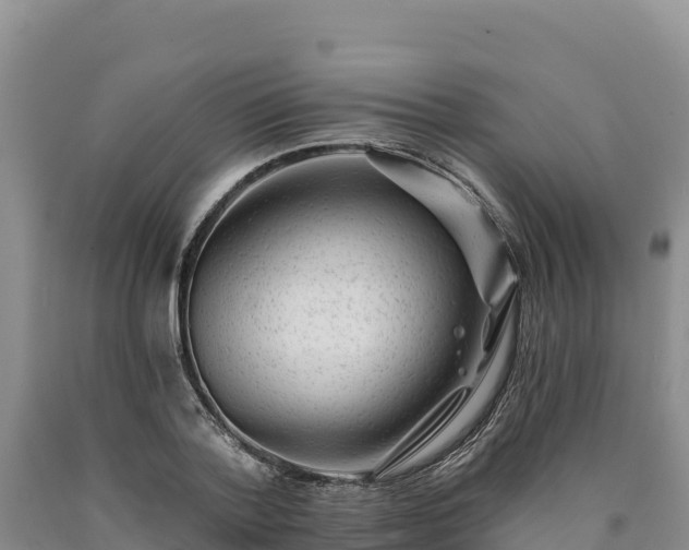 X0000090630788200707241151