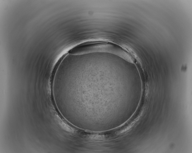 X0000090630789200707241151