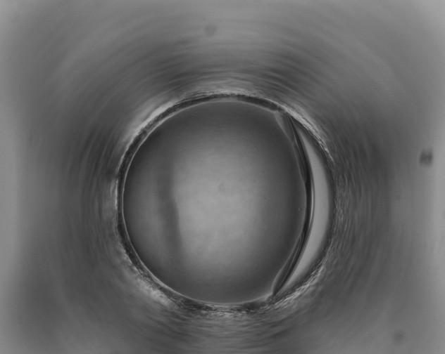 X0000090630790200707241151
