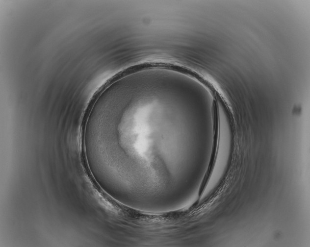 X0000090630791200707241151