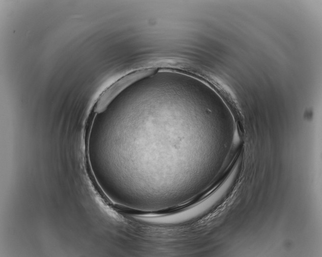 X0000090630792200707241151