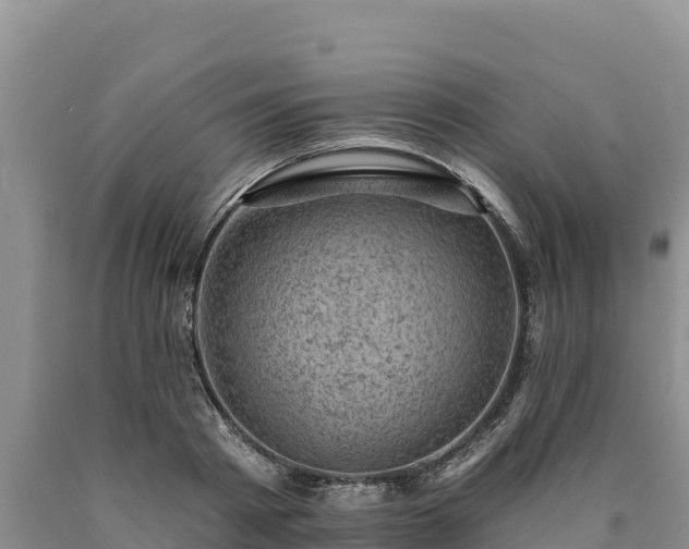 X0000090630793200707241151