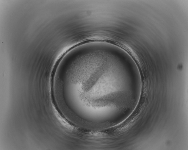 X0000090630795200707241151