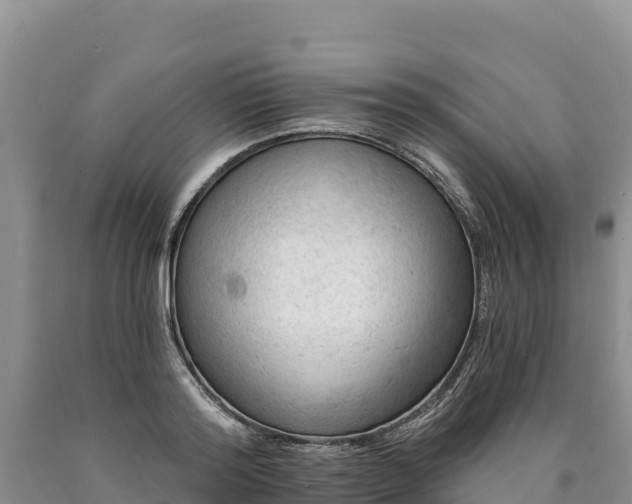 X0000090630796200707241151