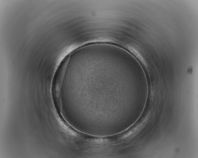 X0000090630797200707241151