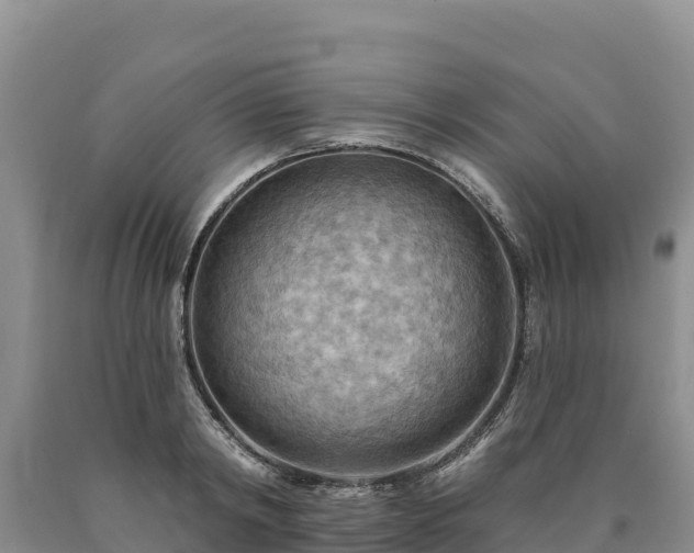 X0000090630798200707241151
