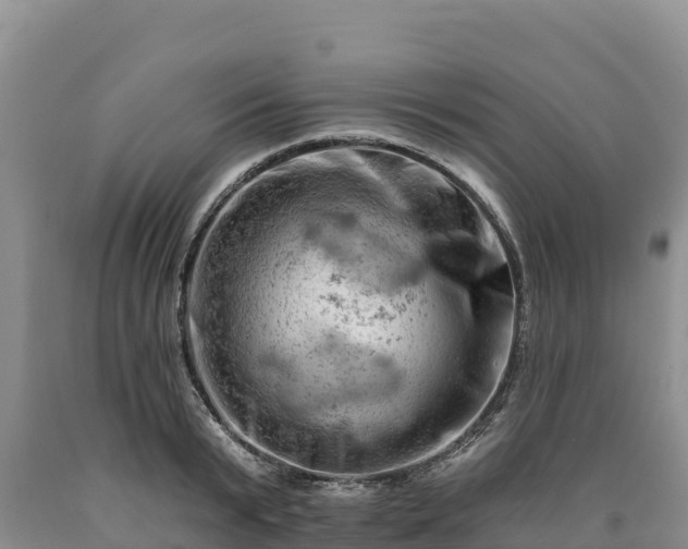 X0000090630799200707241151