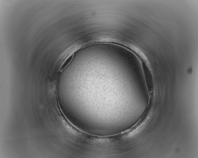 X0000090630801200707241151