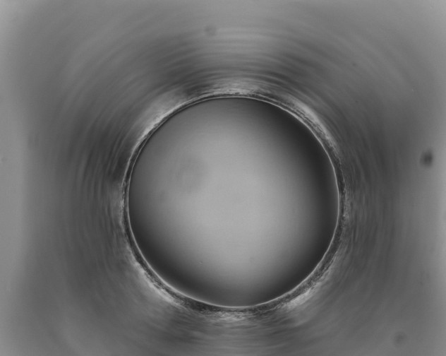 X0000090630802200707241151