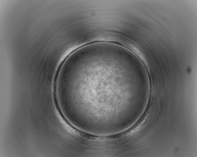 X0000090630803200707241151