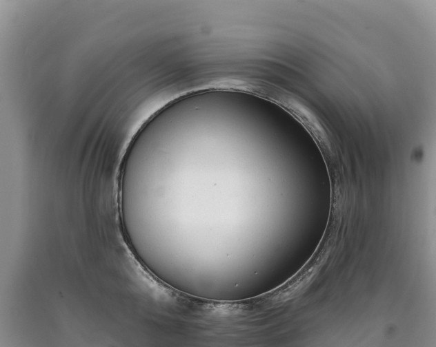 X0000090630808200707241151