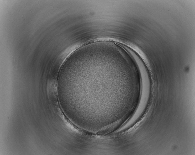 X0000090630809200707241151