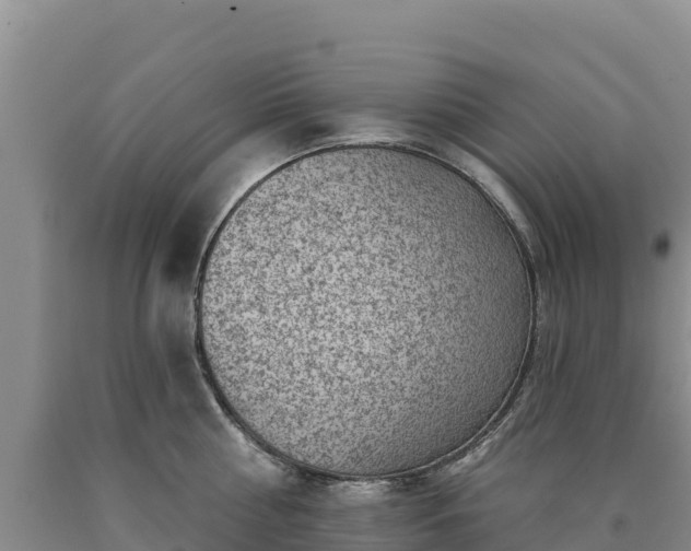X0000090630810200707241151
