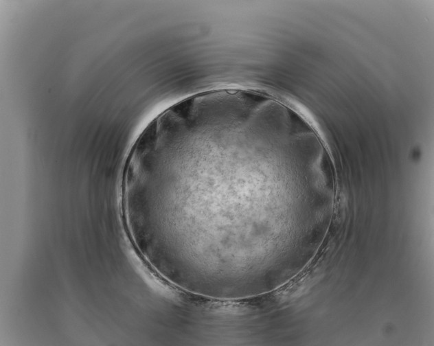 X0000090630811200707241151