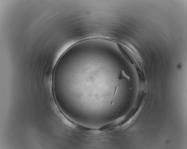 X0000090630812200707241151
