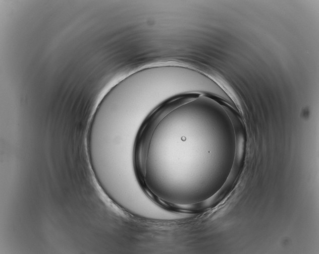 X0000090630813200707241151