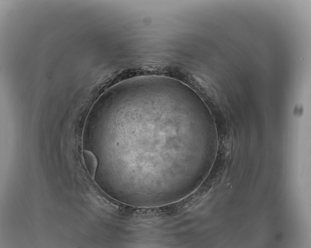 X0000090630817200707241150