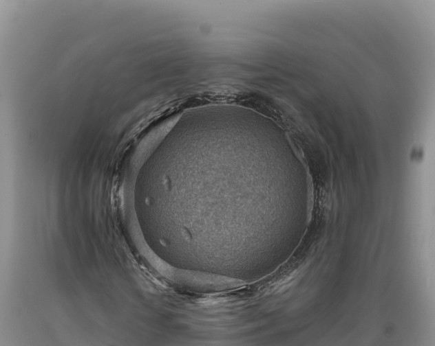 X0000090630818200707241150