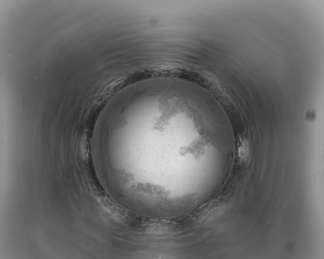 X0000090630819200707241150