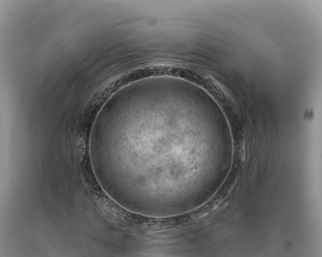 X0000090630821200707241150