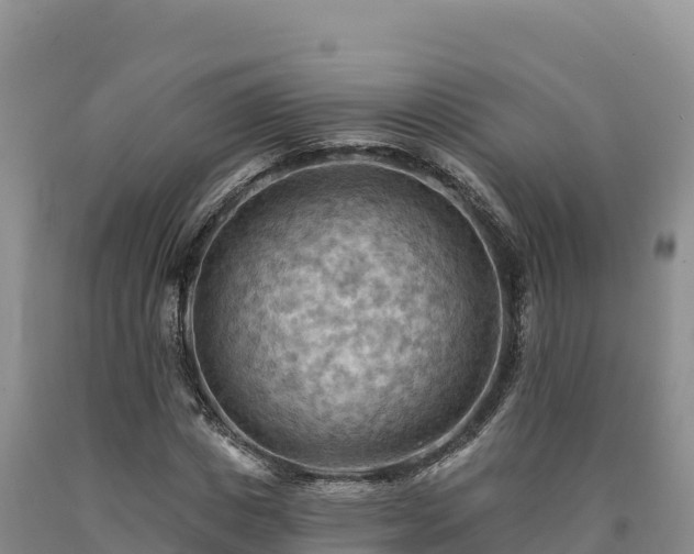 X0000090630825200707241150