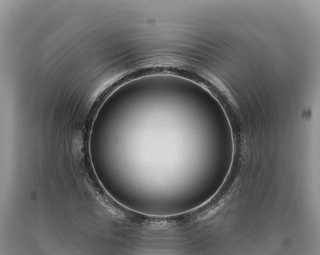 X0000090630826200707241150