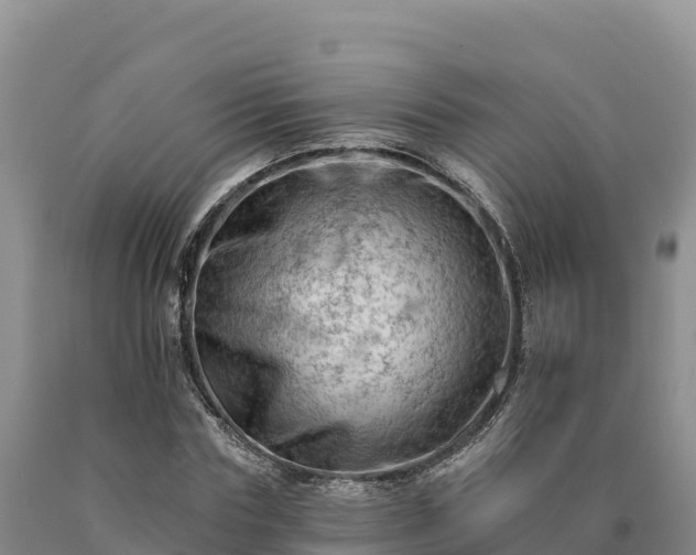 X0000090630827200707241150