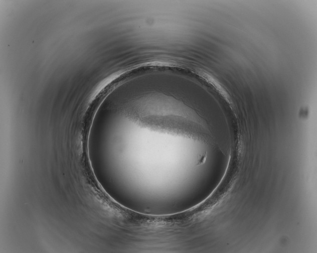 X0000090630829200707241150