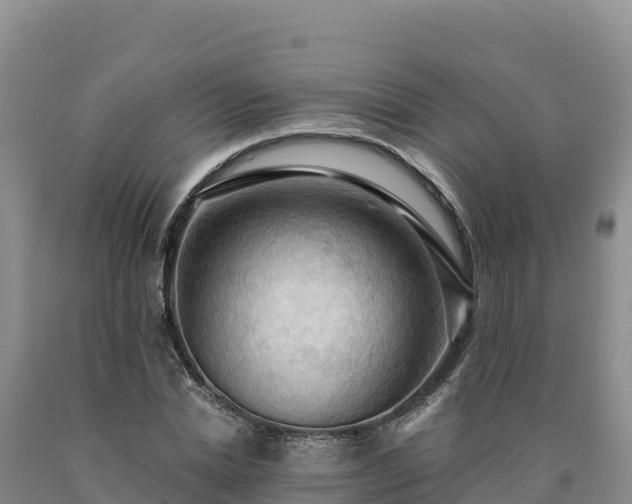 X0000090630830200707241150