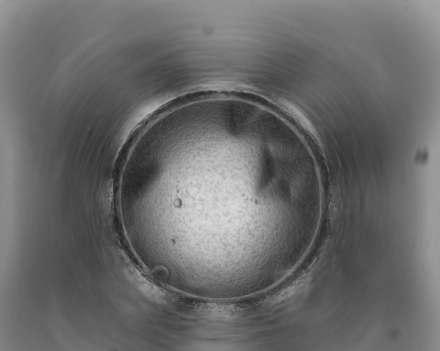 X0000090630831200707241150