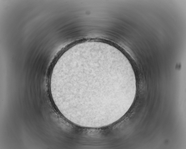 X0000090630832200707241150