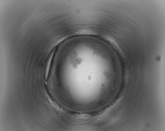 X0000090630833200707241150