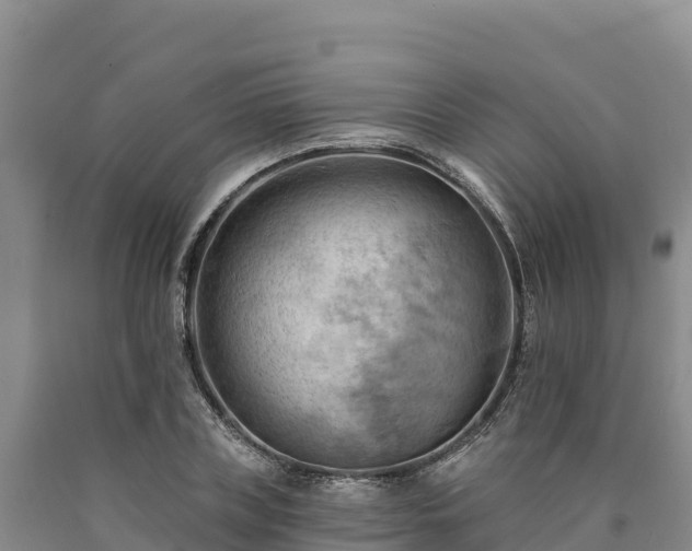 X0000090630835200707241150