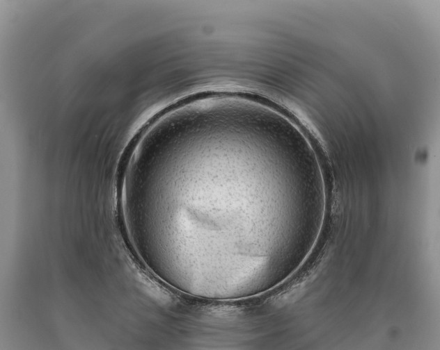 X0000090630837200707241150