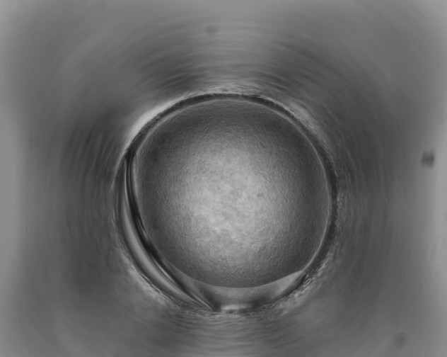 X0000090630838200707241150