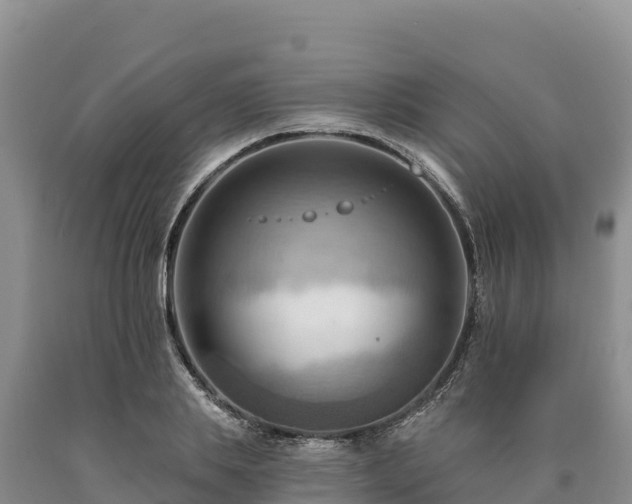 X0000090630839200707241150