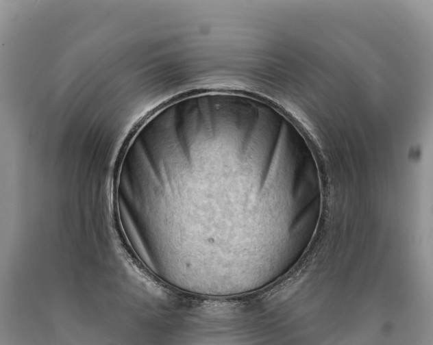 X0000090630840200707241150
