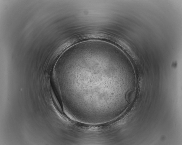X0000090630841200707241151