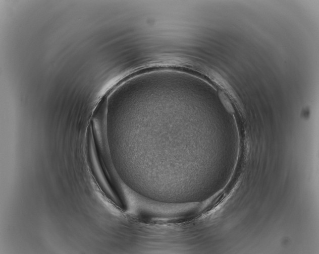 X0000090630842200707241151