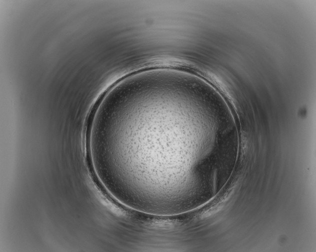 X0000090630843200707241151