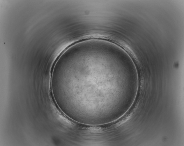 X0000090630844200707241151