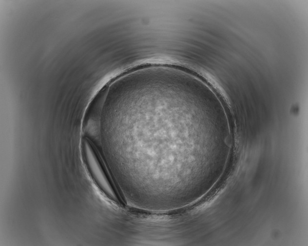 X0000090630845200707241151