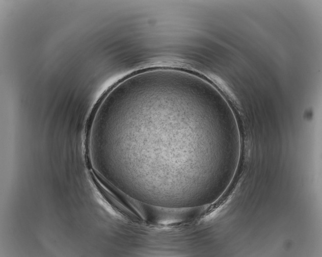 X0000090630846200707241151