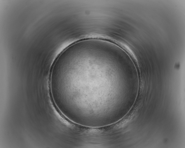 X0000090630847200707241151