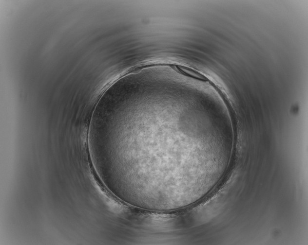 X0000090630849200707241151