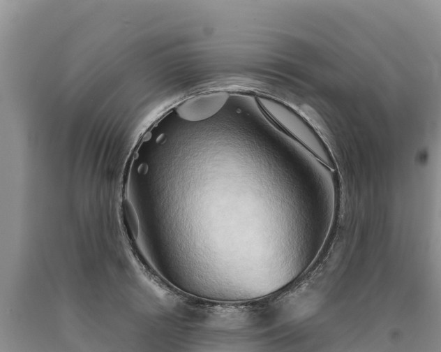 X0000090630850200707241151