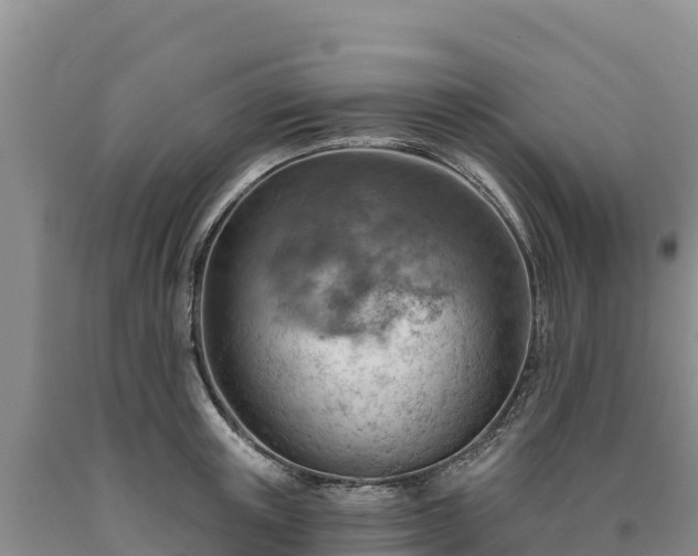 X0000090630851200707241151